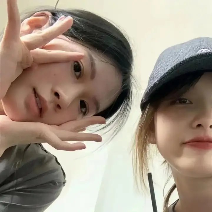 大象家族 在线观看
